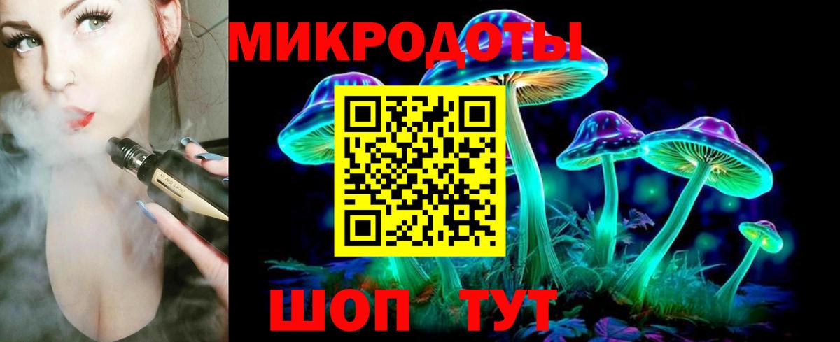 Артёмовский  Галлюциногенные грибы Psilocybine cubensis  Вход с VPN 
